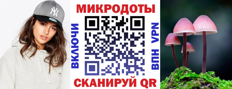 Псилоцибиновые грибы Cubensis  Кукмор 